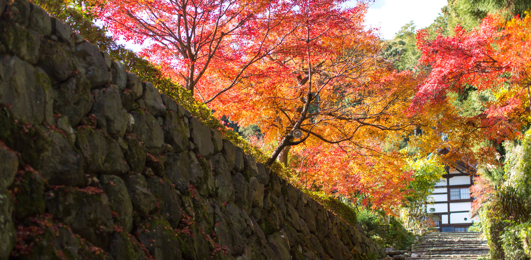 正伝寺 京都 画像02