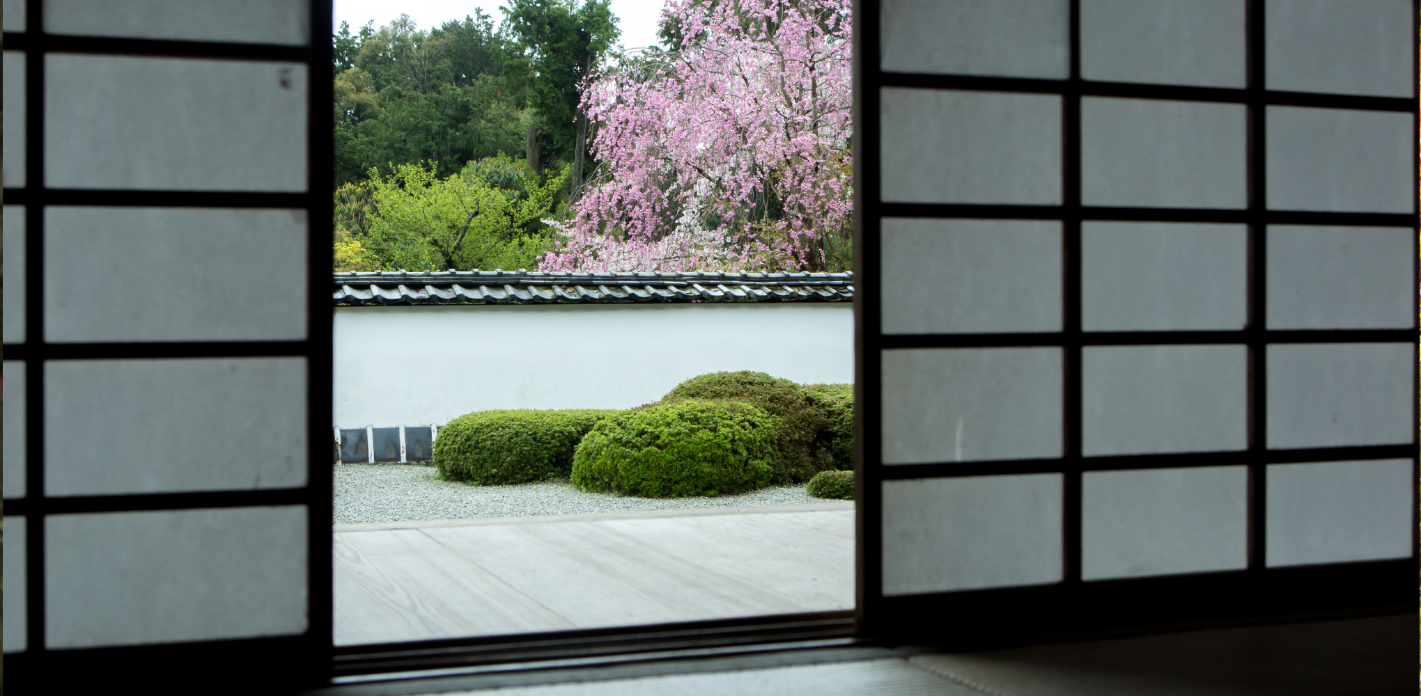 正伝寺 京都 画像03