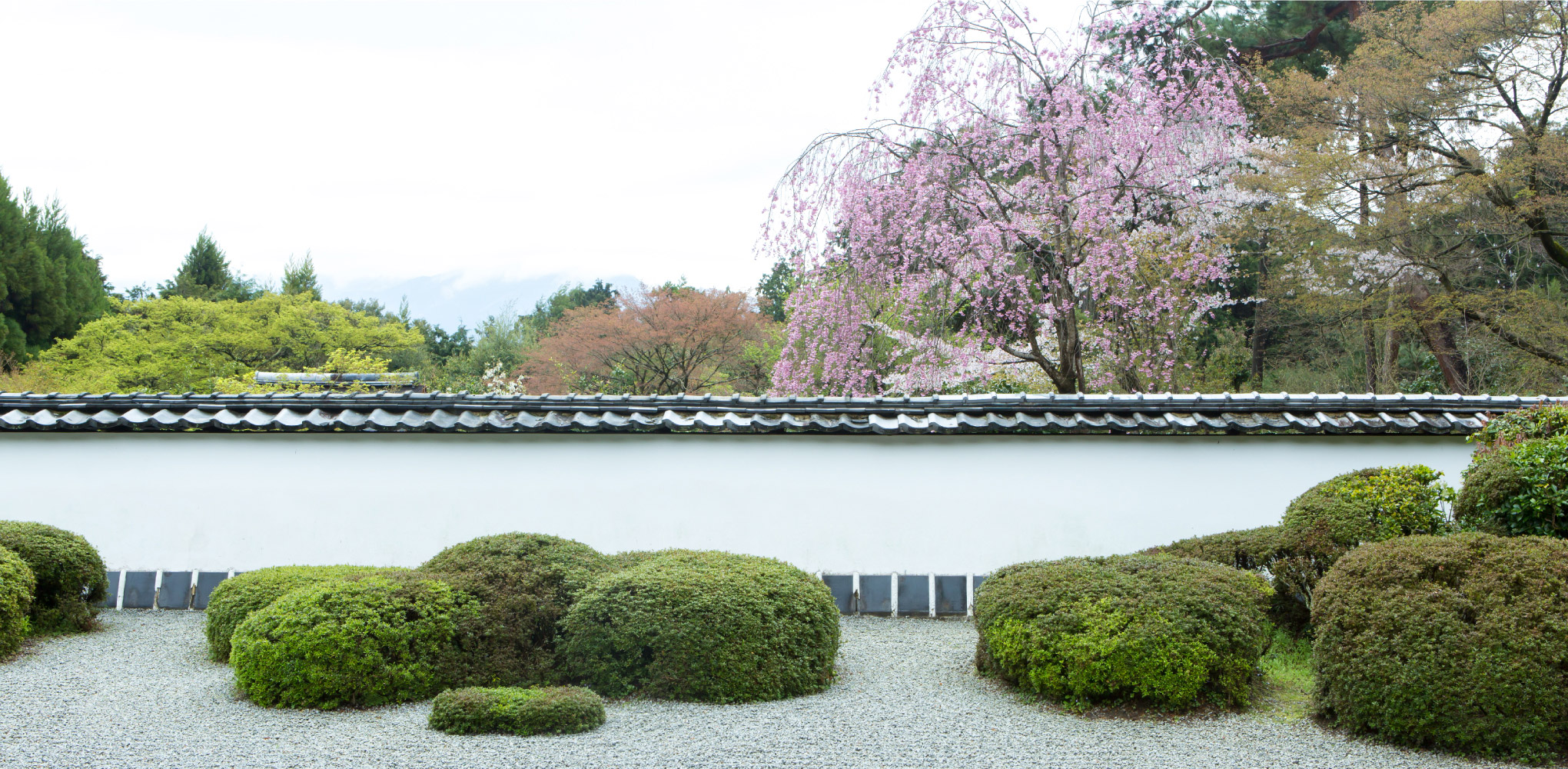 正伝寺 京都 | 獅子の児渡し庭園 写真01