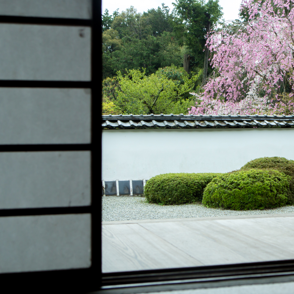 正伝寺 京都 画像03