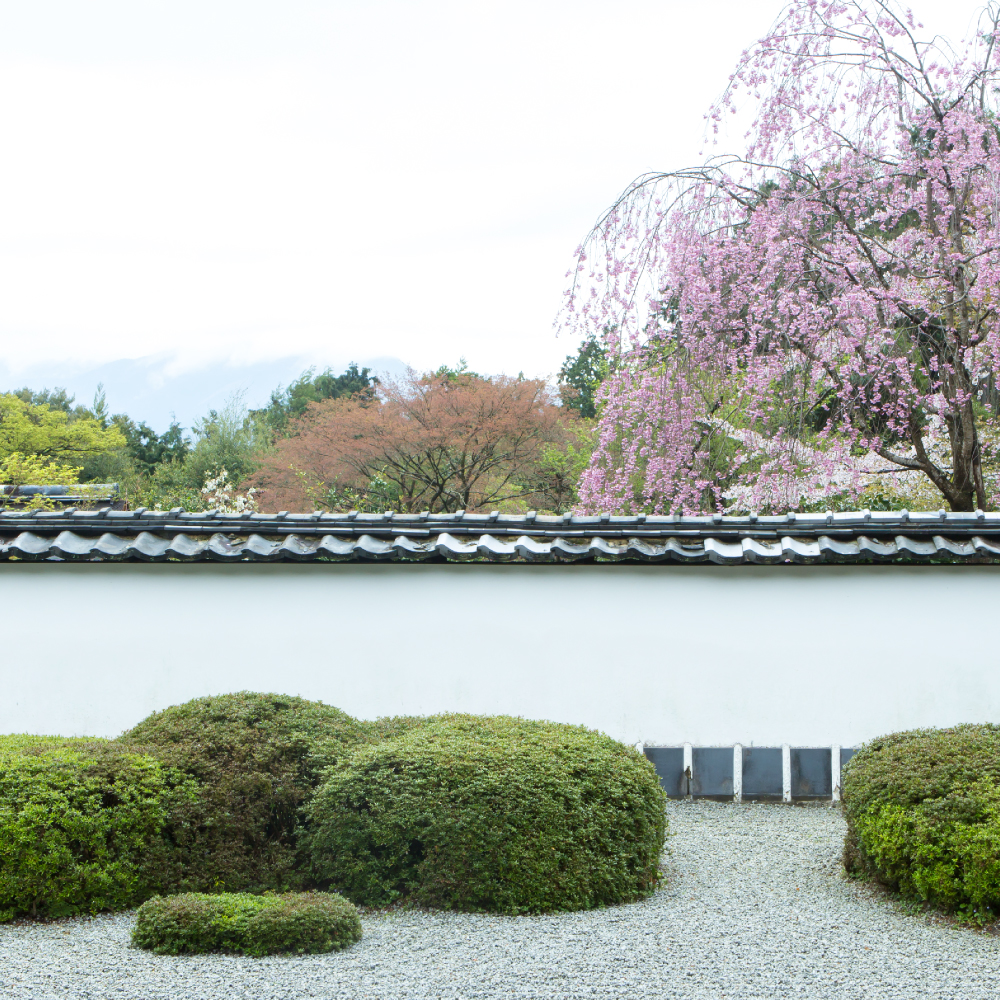 正伝寺 京都 |獅子の児渡し庭園タイトル